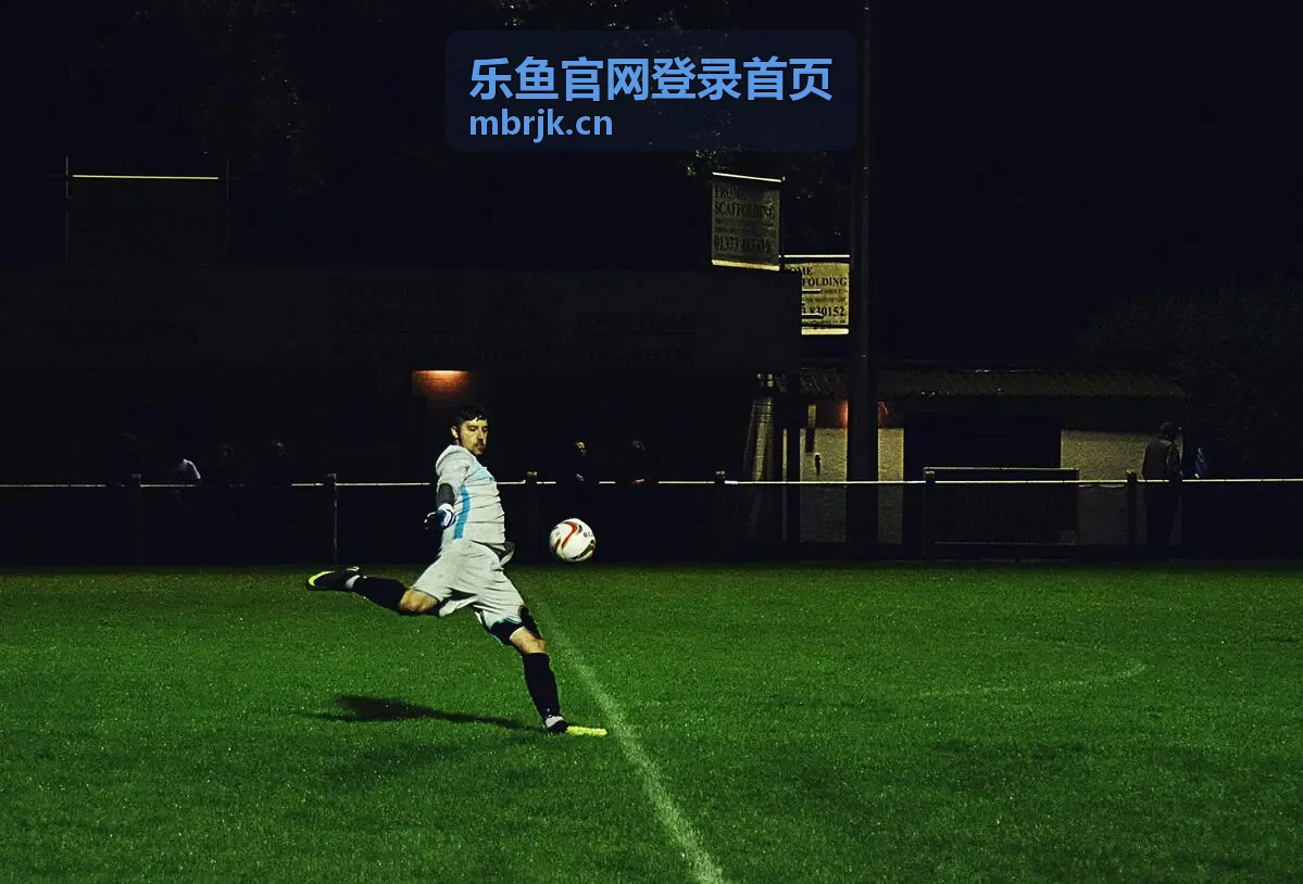 乐鱼官网登录首页影视背景